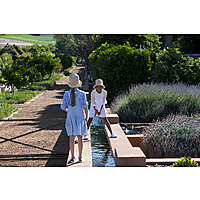 Garden at Babylonstoren image